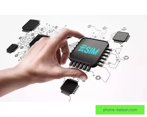 全面开云新人专属入门指南助你快速掌握技巧轻松开启稳定收益之路