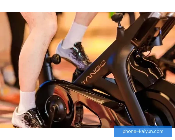 开云体育引领全球运动潮流与创新发展新趋势